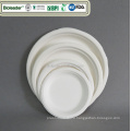 100% Biodegradable Disposable Sugarcane Pulp Party BBQ Plate